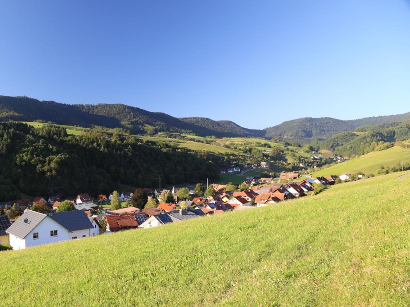 Jilg Apartment Oberharmersbach